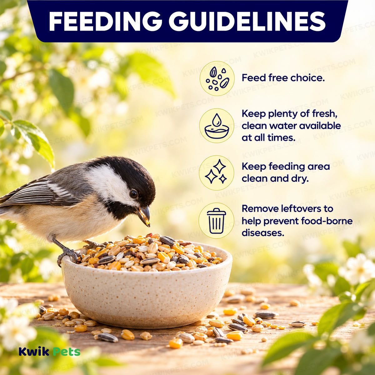 Feeding Guide Lines of Volkman Seed Company Premium Garden Mix Wild Bird Food 5-lb