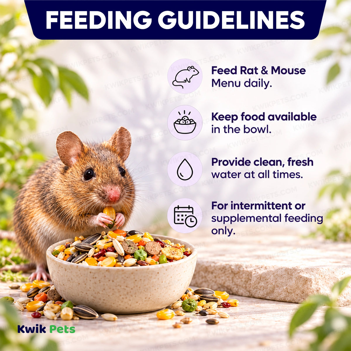 Feeding Guide Lines of Volkman Seed Company Small Animal Rat & Mouse Menu Dry Food 4-lb