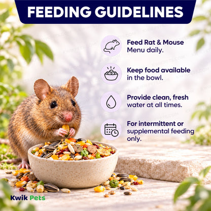 Feeding Guide Lines of Volkman Seed Company Small Animal Rat & Mouse Menu Dry Food 4-lb
