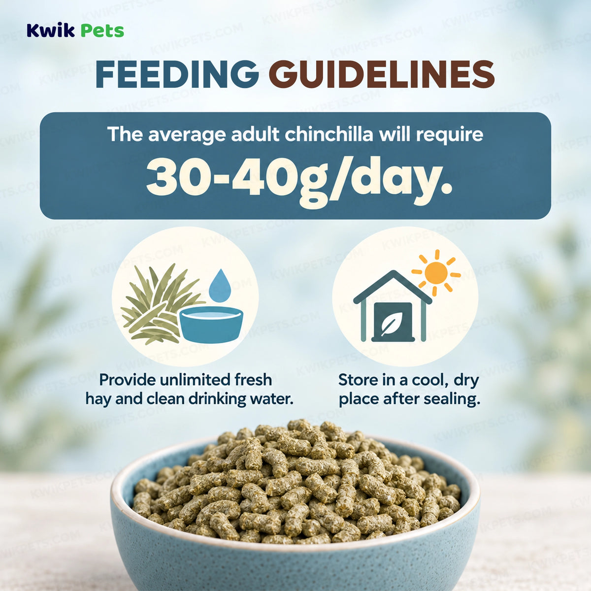 Feeding Guide Lines of Science Selective Chinchilla Food 4-lb