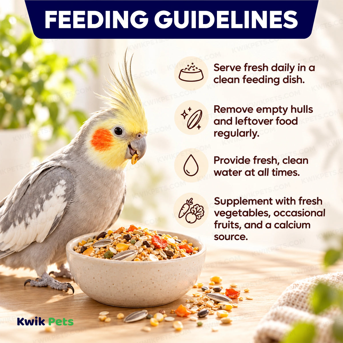 Feeding Guide Lines of Volkman Seed Company Avian Science Super Cockatiel Bird Treat with Sunflower Seed 4-lb