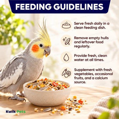 Feeding Guide Lines of Volkman Seed Company Avian Science Super Cockatiel Bird Treat with Sunflower Seed 4-lb