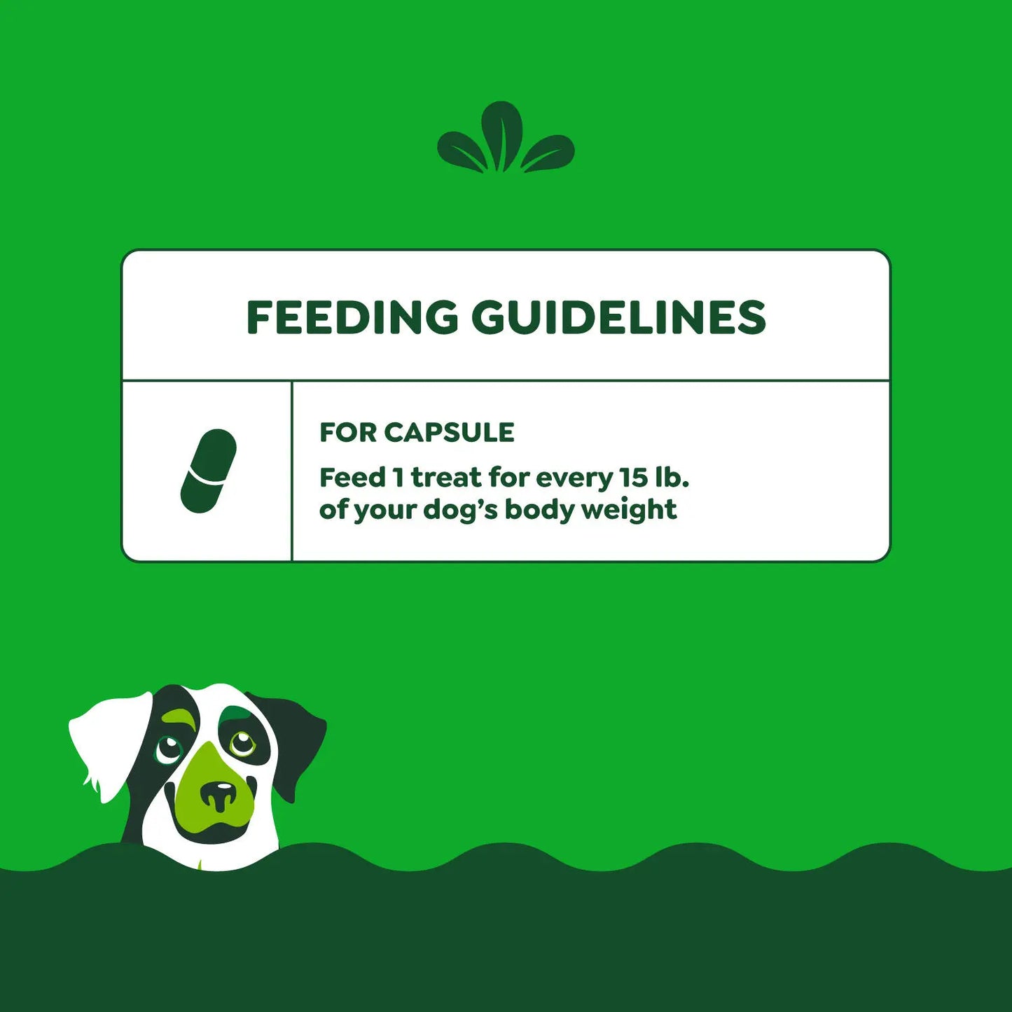 Feeding Guidelines of Greenies Capsule Pill Pockets Dog Treats Chicken 7.9-oz 30 Count