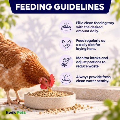 Feeding Guide Lines of Volkman Seed Company Layer Pellet Blend Chicken Treat 8-lb