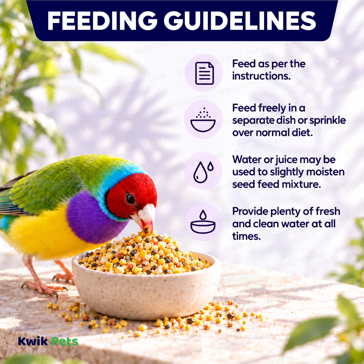 Feeding Guide Lines of Volkman Seed Company Featherglow Gourmet Egg Food Supplement 2-lb