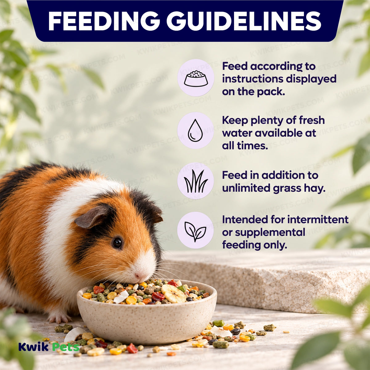 Feeding Guide Lines of Volkman Seed Company Small Animal Guinea Pig Gourmet Dry Food 4-lb