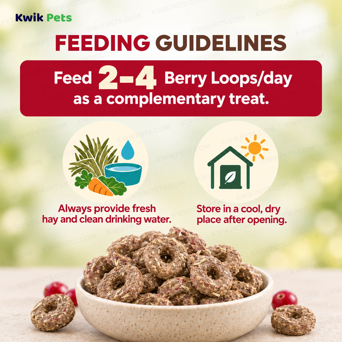 Feeding Guide Lines of Science Selective Berry Loops with Timothy Hay & Cranberry Guinea Pig Treats 2.8-oz