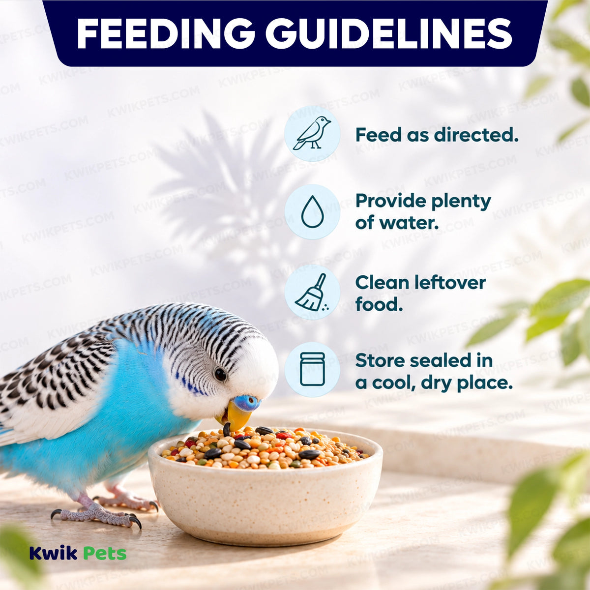 Feeding Guide Lines of Volkman Seed Company Avian Science Super Parakeet Bird Treat 4-lb