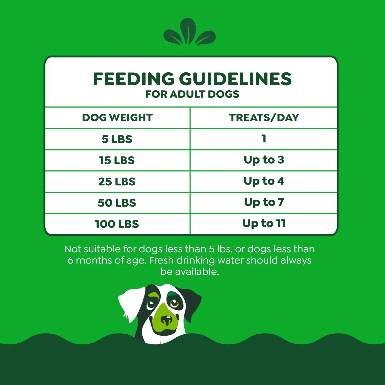 Feeding Instructions of Greenies Anytime Bites Bite-Size Dog Dental Treats Mint 10.3-oz