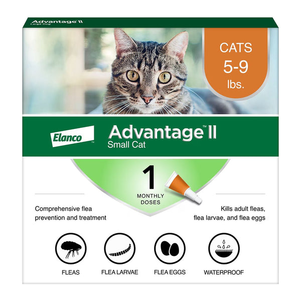 Front of Elanco Advantage II 1-Month Supply Topical Flea Treatment & Prevention for Small Cats 5-9 lbs