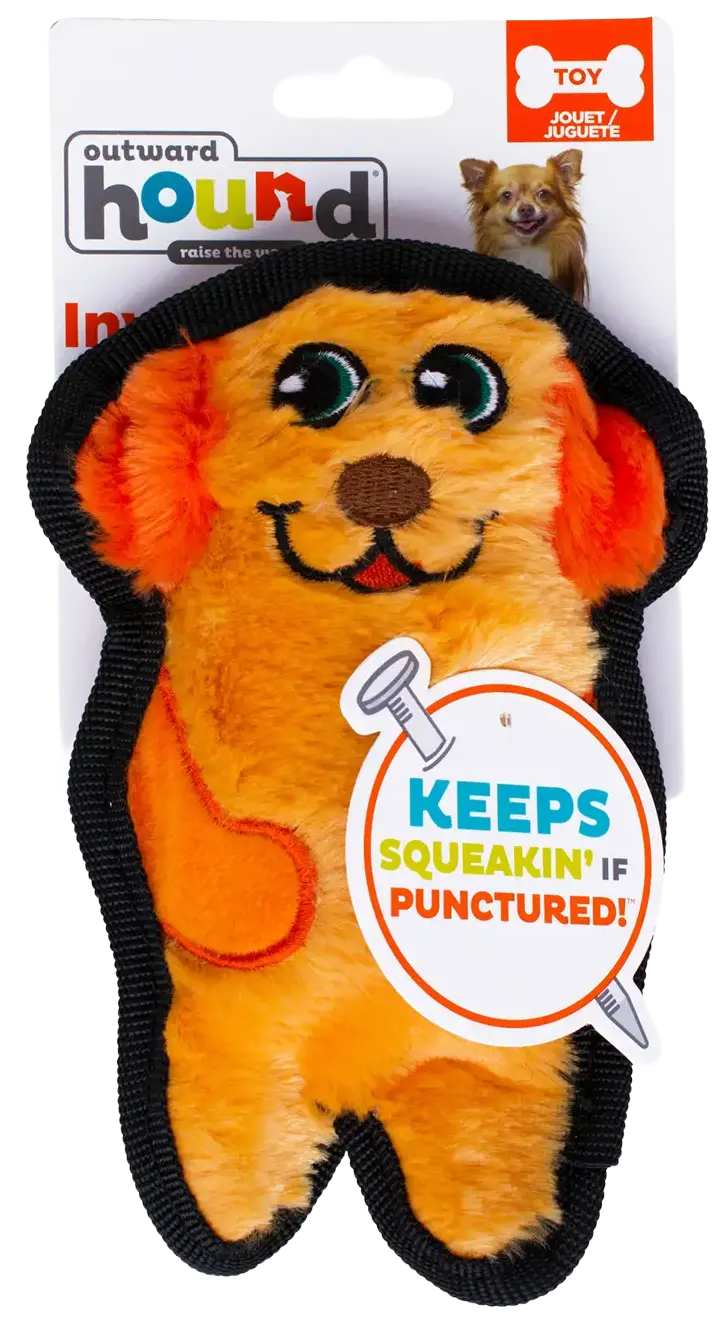 Front of Outward Hound Invincibles Mini Dog Toy Dog XS
