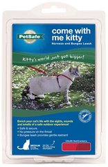 PetSafe Premier Come With Me Kitty Harness & Bungee Leash Combo Red/Cranberry Medium