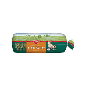 Best Small Animal Hay Types for Rabbits, Guinea Pigs & More Best Small Animal Hay Types for Rabbits, Guinea Pigs & More