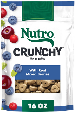 Front of Nutro Natural Choice Mixed Berry Crunchy Dog Treats 16-oz