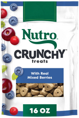 Nutro Natural Choice Mixed Berry Crunchy Dog Treats 16-oz