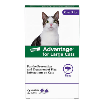 Front of Elanco Advantage 2-Month Supply Topical Flea Treatment for Large Cats Over 9 lbs