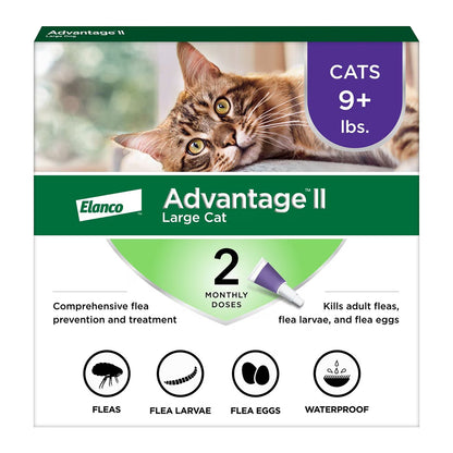 Front of Elanco Advantage II 2-Month Supply Topical Flea Treatment & Prevention for Large Cats Over 9 lbs
