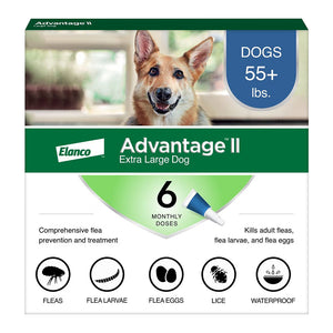 Front of Elanco Advantage II 6-Month Supply Topical Flea Treatment & Prevention for Extra Large Dogs Over 55 lbs 