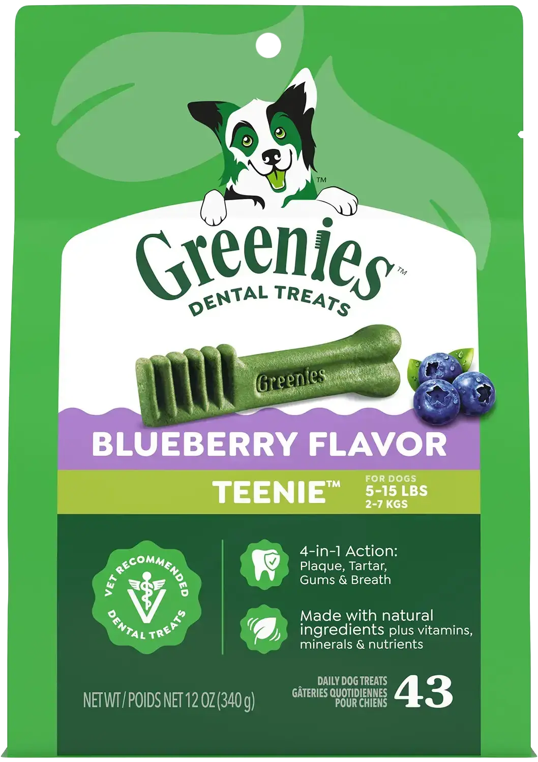 Front of Greenies Blueberry Dog Dental Treats Teenie 12-oz 43 Count