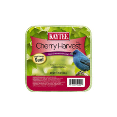 Kaytee Cherry Harvest High Energy Wild Bird Suet 11.75-oz