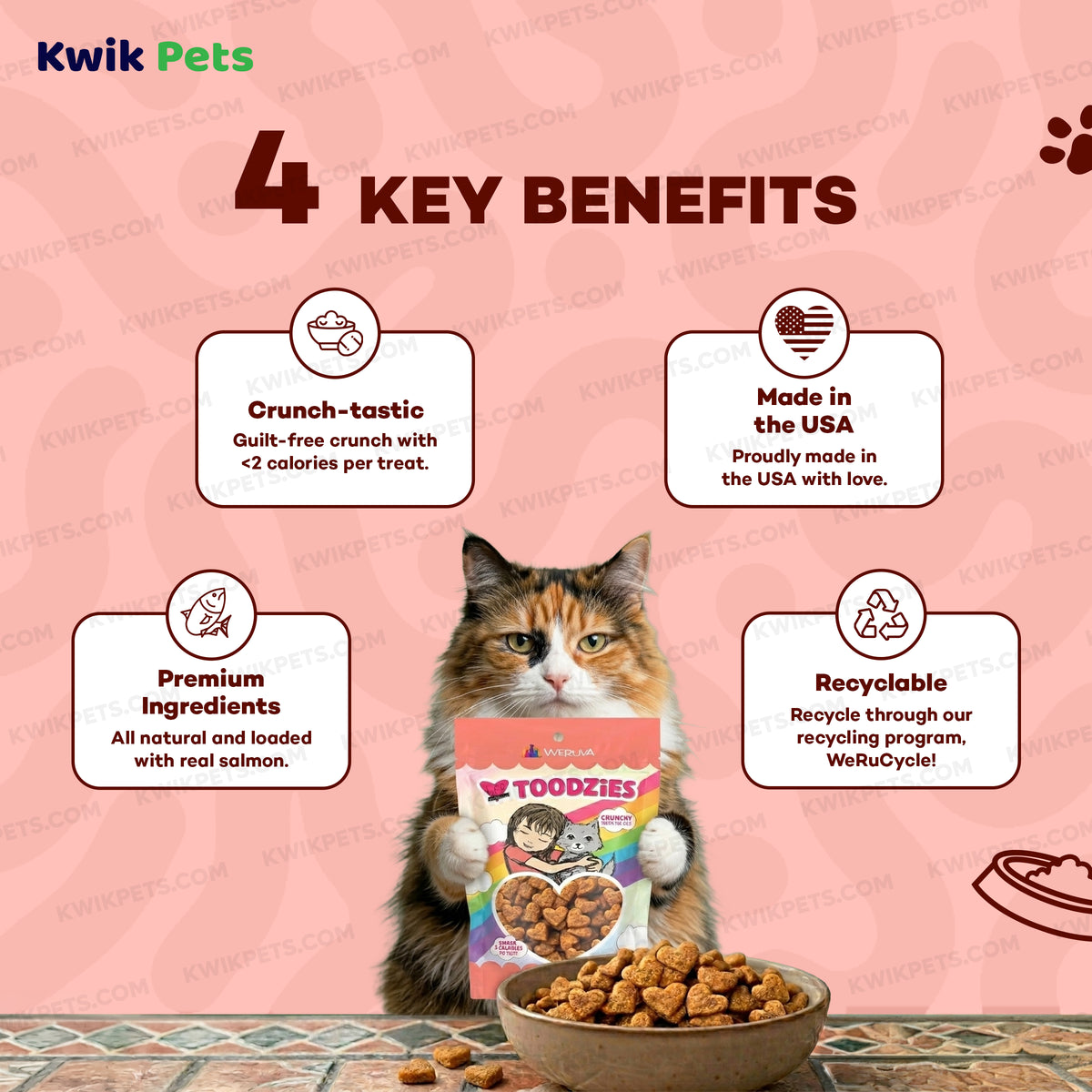 Benefits of Weruva B.F.F. Toodzies Crunchy Salmon Cat Treats 2-oz