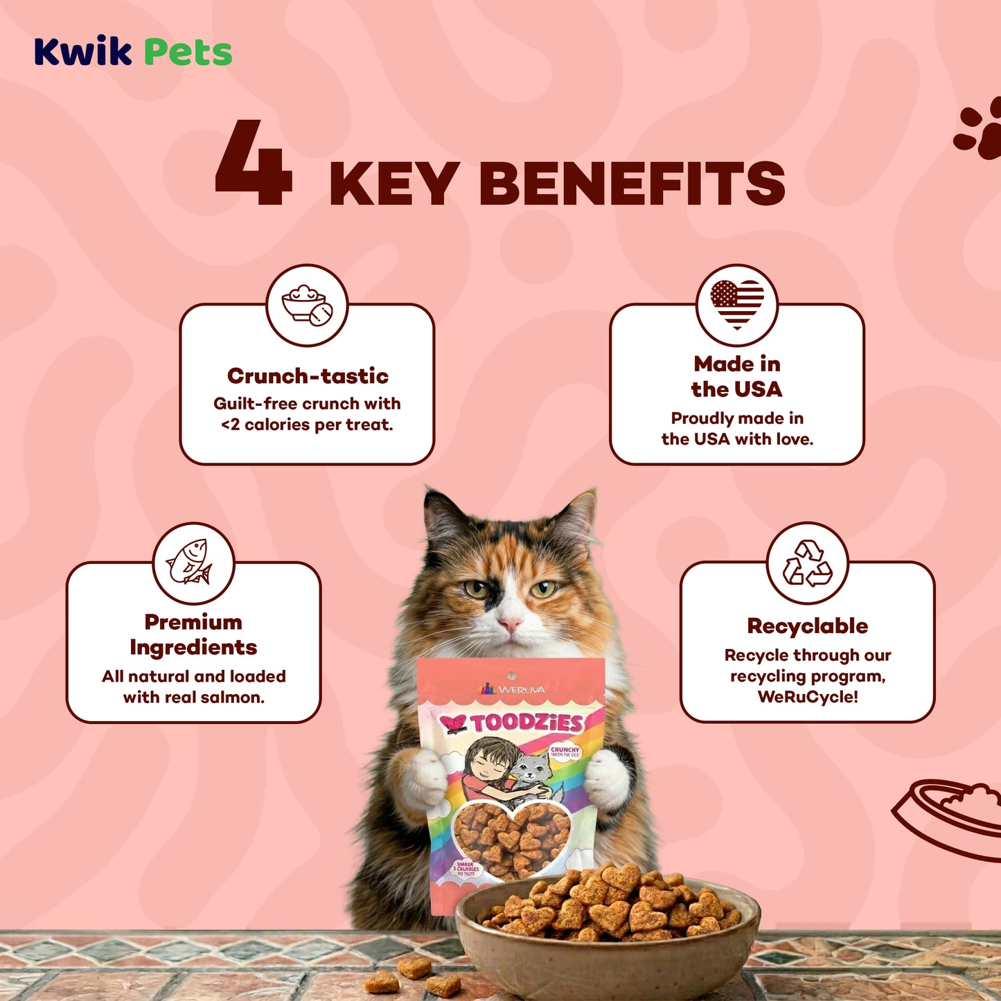 Key Benefits of Weruva B.F.F. Toodzies Crunchy Salmon Cat Treats 2-oz