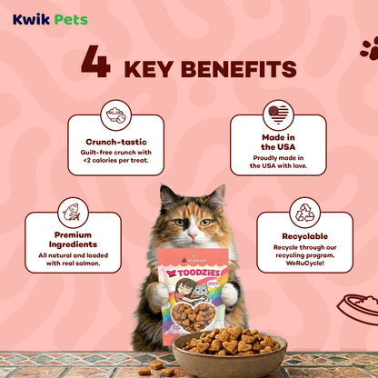 Key Benefits of Weruva B.F.F. Toodzies Crunchy Salmon Cat Treats 2-oz