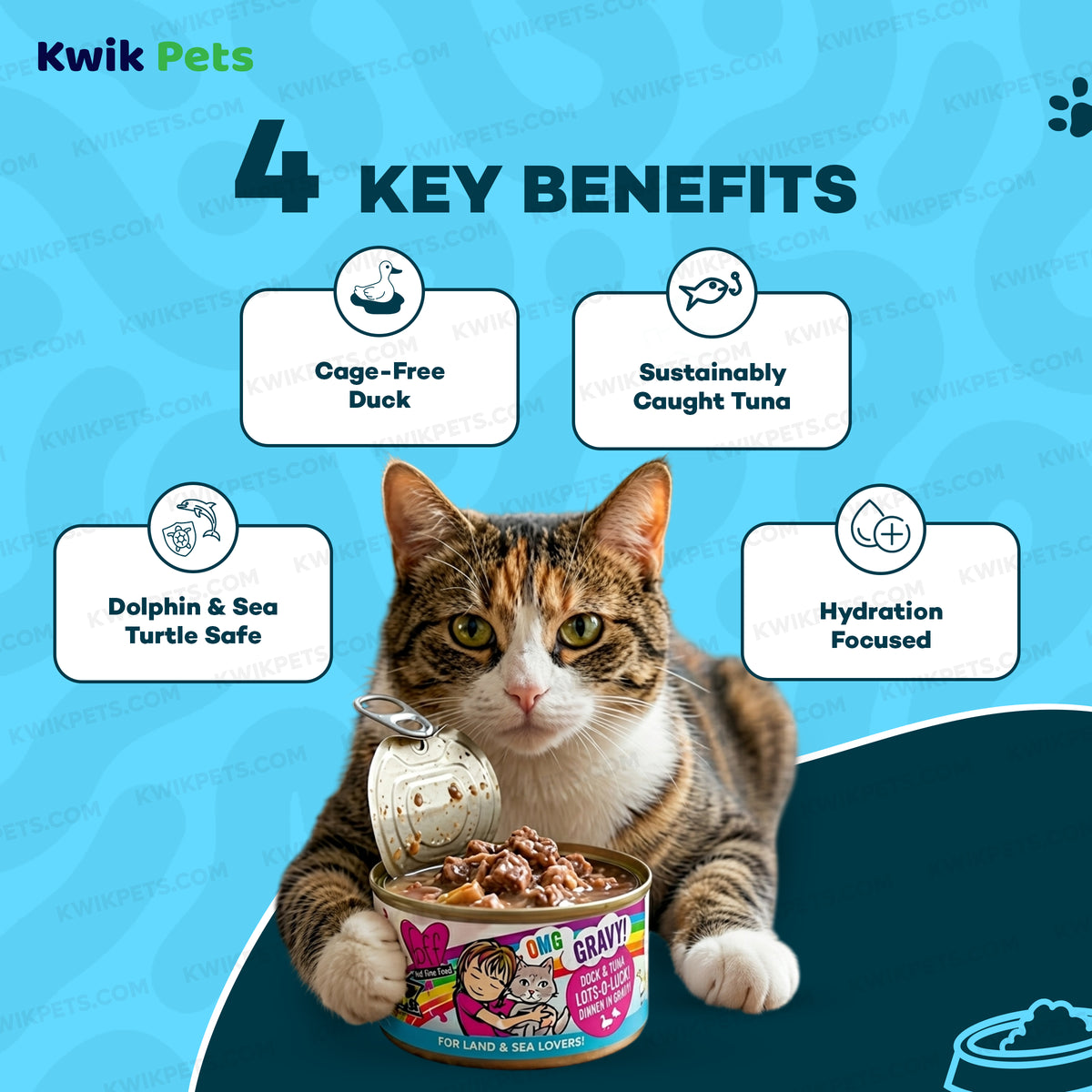 Benefits of Weruva B.F.F. OMG Duck & Tuna Lots-O-Luck! Dinner in Gravy Wet Cat Food 2.8-oz