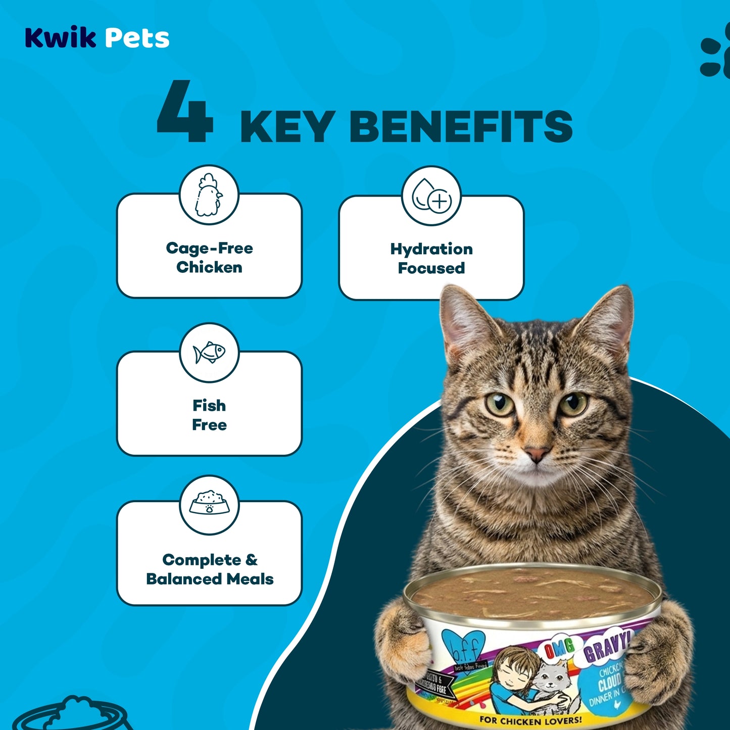 Kay Benefits of Weruva B.F.F. OMG Chicken Cloud 9 Dinner in Gravy Wet Cat Food 5.5-oz
