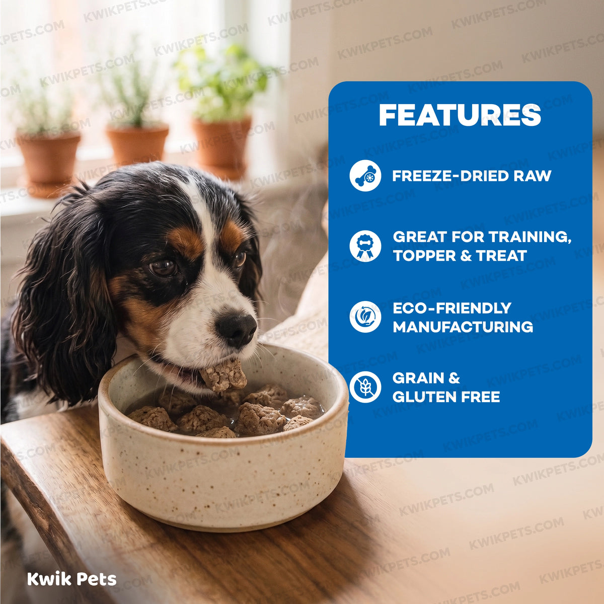 Features of Northwest Naturals Freeze Dried Raw Diet Dog Food Beef & Trout Recipe 12-oz
