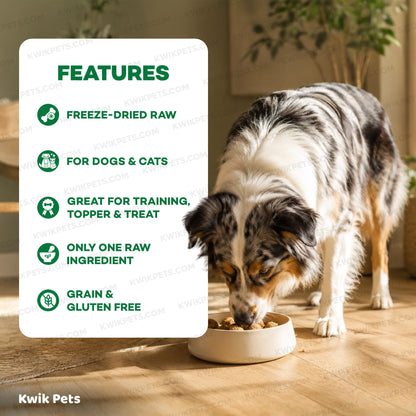 Features of Northwest Naturals Freeze Dried Raw Diet Dog Food Lamb Recipe 12-oz