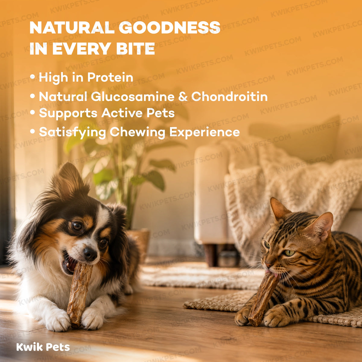 Key Benefits of Northwest Naturals Raw Rewards Premium Freeze Dried Dog & Cat Treats Turkey Necks 6-oz