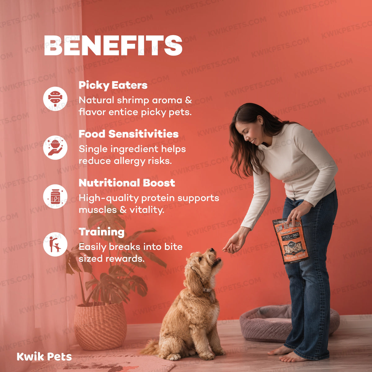 Benefits of Northwest Naturals Raw Rewards Premium Freeze Dried Dog & Cat Treats Shrimp 1-oz
