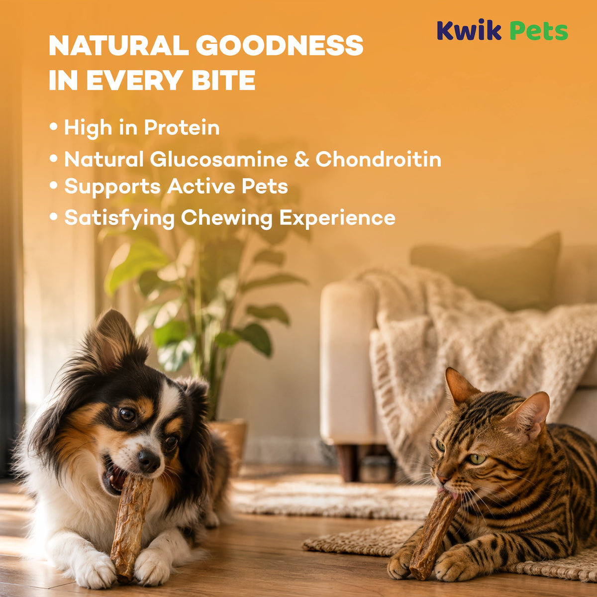 Key Benefits of Northwest Naturals Raw Rewards Premium Freeze Dried Dog & Cat Treats Turkey Necks 6-oz