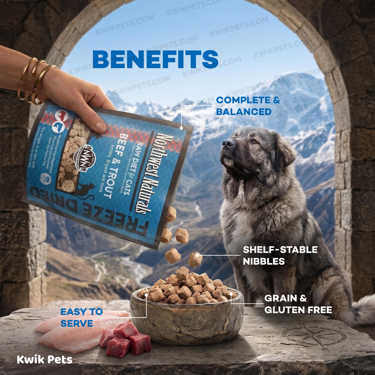 Benefits of Northwest Naturals Freeze Dried Raw Diet Dog Food Beef & Trout Recipe 12-oz