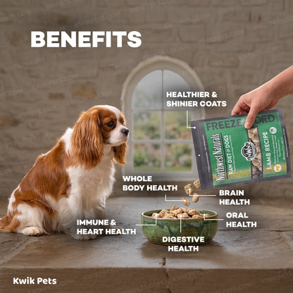 Benefits of Northwest Naturals Freeze Dried Raw Diet Dog Food Lamb Recipe 12-oz