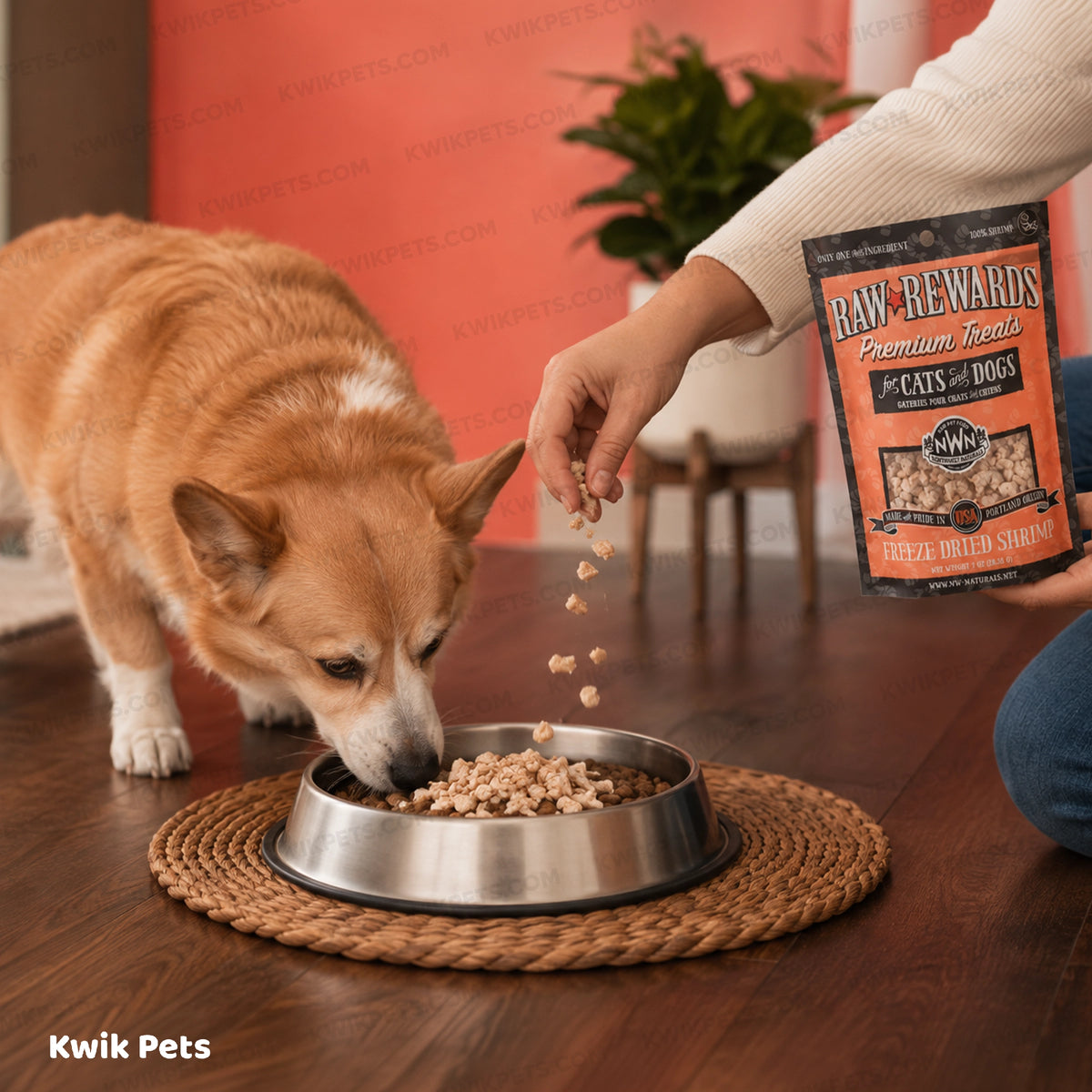 Lifestyle of Northwest Naturals Raw Rewards Premium Freeze Dried Dog & Cat Treats Shrimp 1-oz