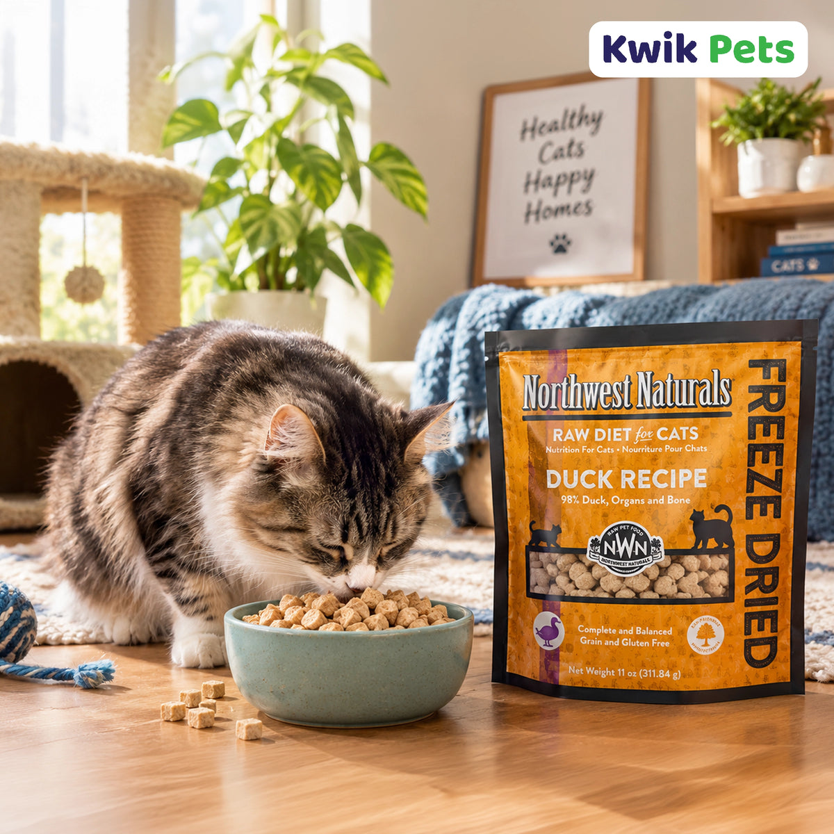 Lifestyle of Northwest Naturals Freeze Dried Raw Diet Cat Food Duck Recipe 11-oz