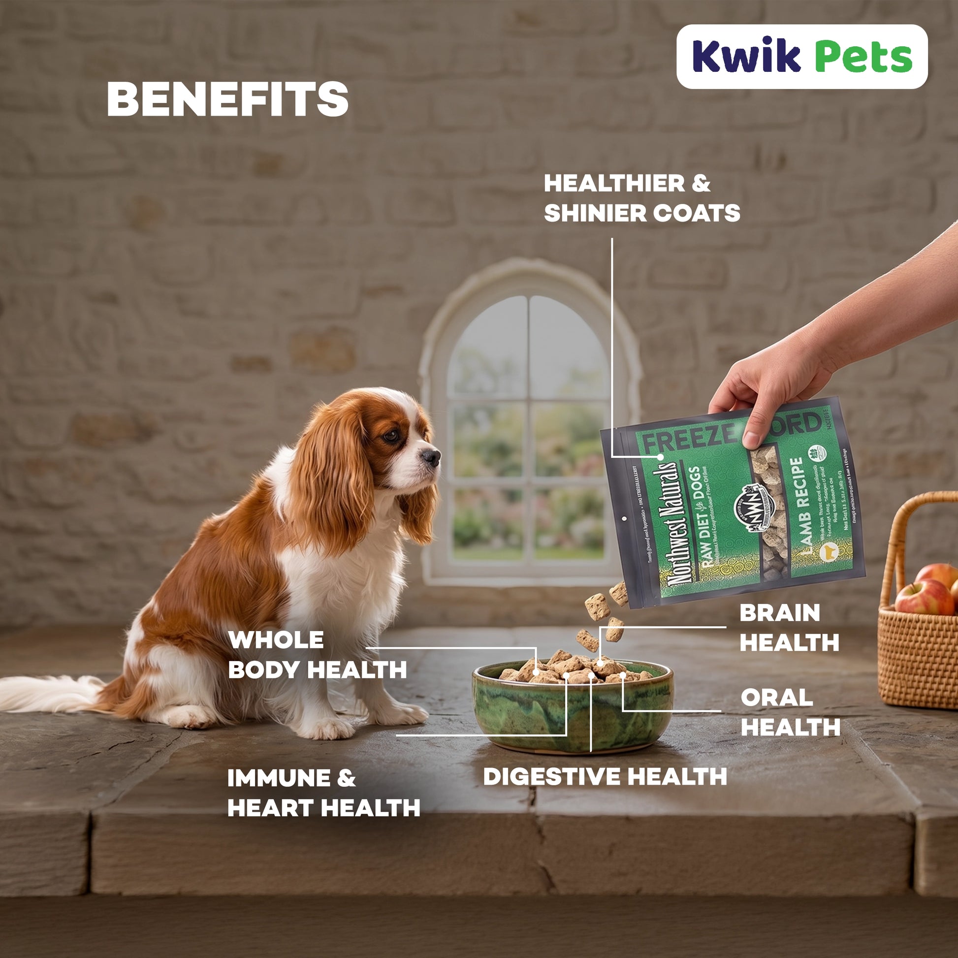 Benefits of Northwest Naturals Freeze Dried Raw Diet Dog Food Lamb Recipe 12-oz