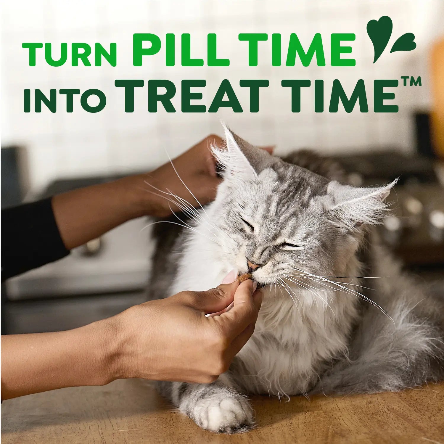 Product info 2 of Greenies Feline Pill Pockets Cat Treats Salmon 3-oz 85 Count