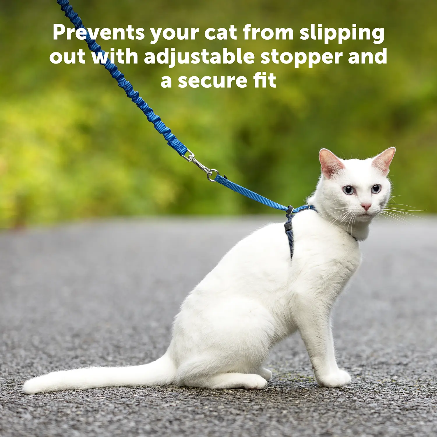 Product info 1 of PetSafe Premier Come With Me Kitty Harness & Bungee Leash Combo Red/Cranberry Medium