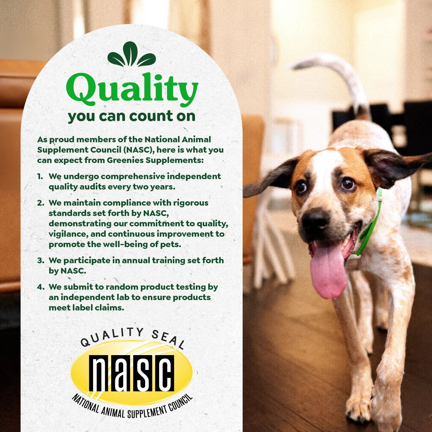 Ingredients info 4 of Greenies Hip & Joint Supplement Soft Chews for Adult Dogs Chicken Flavor 30 Count 6.08-oz