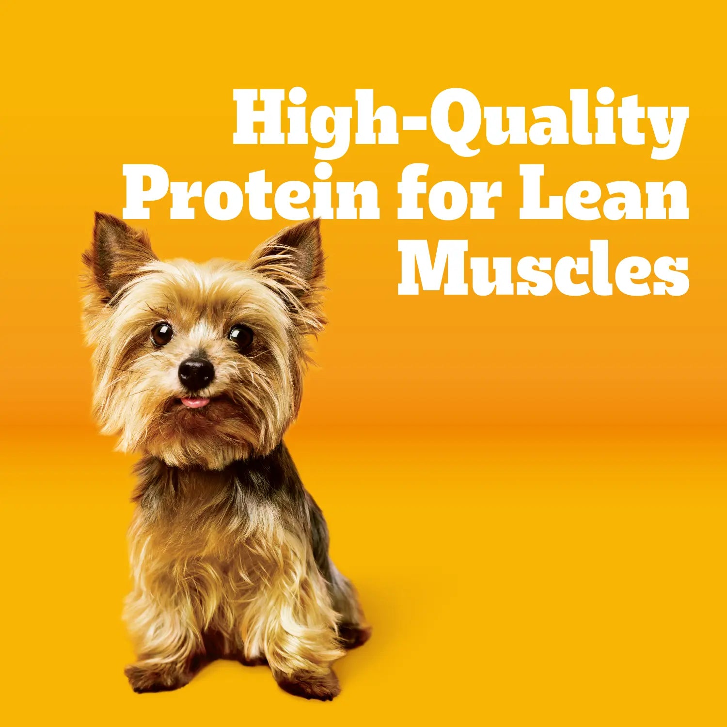 Ingredients info 4 of Pedigree Complete Nutrition Tender Bites Small Breed Adult Dry Dog Food Chicken & Steak 3.5-lb