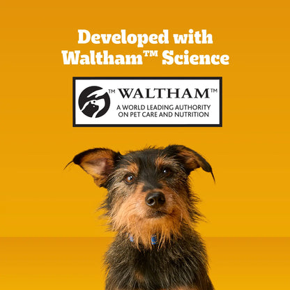 Ingredients info 2 of Pedigree DENTASTIX Dog Dental Treat Original w/Real Chicken 58 Count