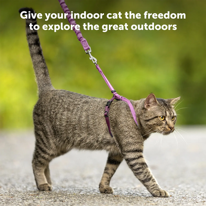 Product info of PetSafe Premier Come With Me Kitty Harness & Bungee Leash Combo Red/Cranberry Medium