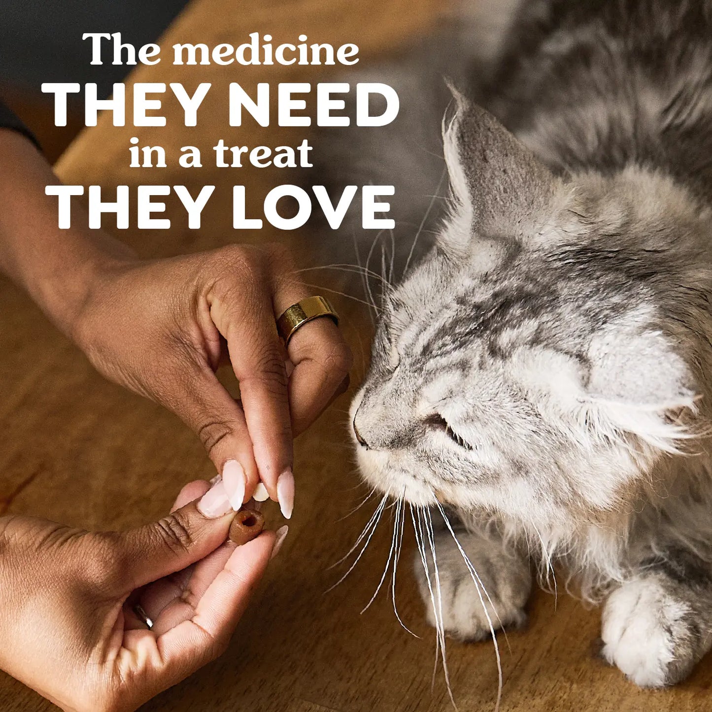 Product info of Greenies Feline Pill Pockets Cat Treats Salmon 3-oz 85 Count