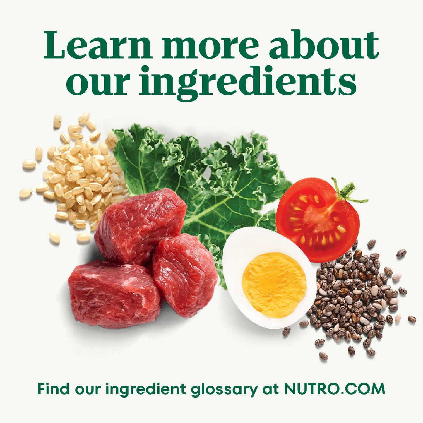 Ingredients info 2 of Nutro Natural Choice Chicken & Brown Rice Puppy Dry Food 5-lb