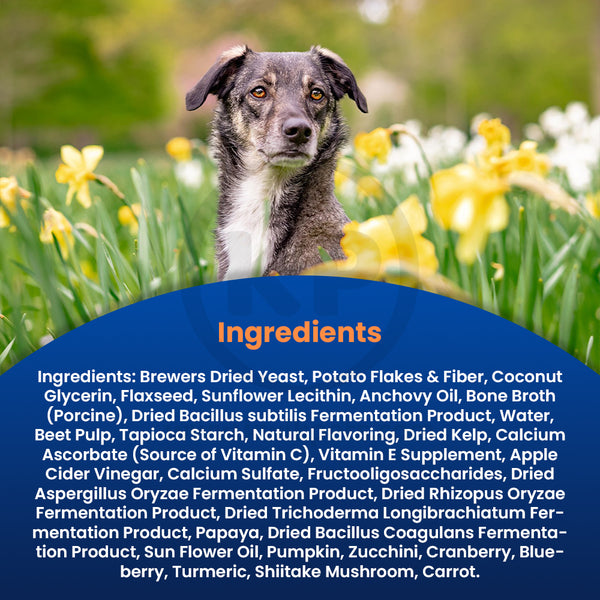 Ingredients info of Evolutions by NaturVet Probiotic Plus Superfoods Digestive Support Soft Chews for Dogs 90 Count 6.9-oz