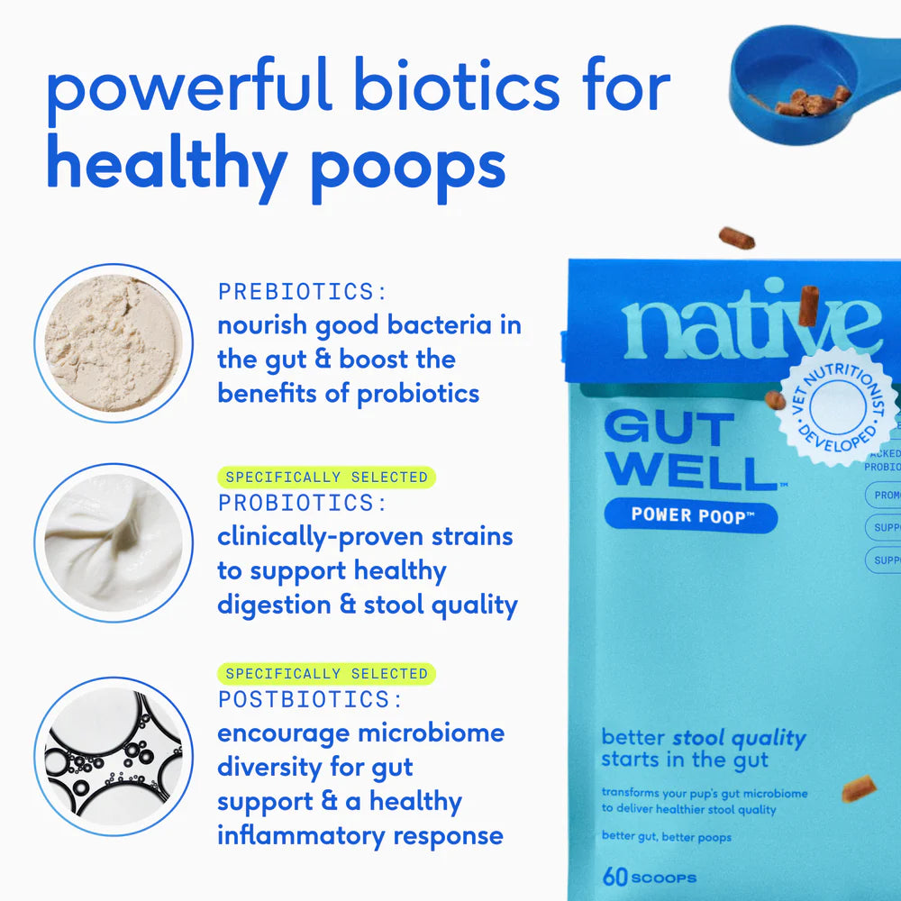 Native Pet Gutwell Power Poop Digestion Support Supplement for Dogs 12.7-oz, Kwik Pets