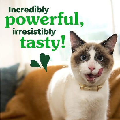 LifeStyle 2 of Greenies Feline Savory Salmon Adult Cat Dental Treats 21-oz